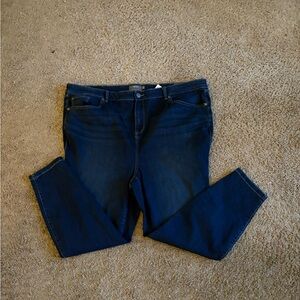 Torrid Dark Blue Skinny